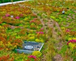The garden is suitable for field trips, photography as well as horticulture, and botanical studies.